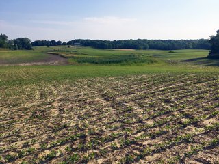 Noble County, Indiana farmland - LAND AUCTION - 54+/- ACRES OFFERED IN 2 TRACTS IN NOBLE COUNTY, INDIANA